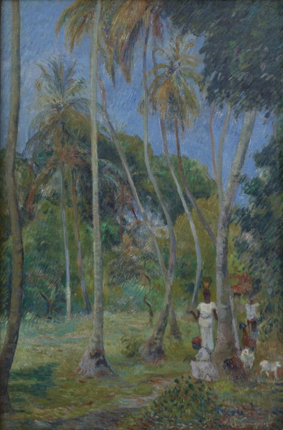 Camino bajo las palmas