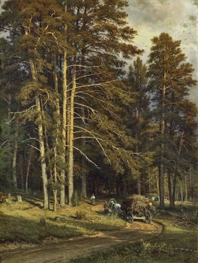 Camino del bosque