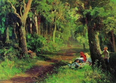 Camino en el bosque