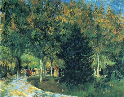 Camino en el parque