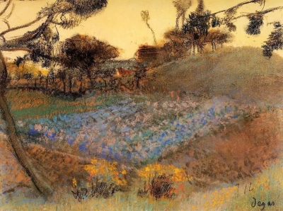 Campo de lino