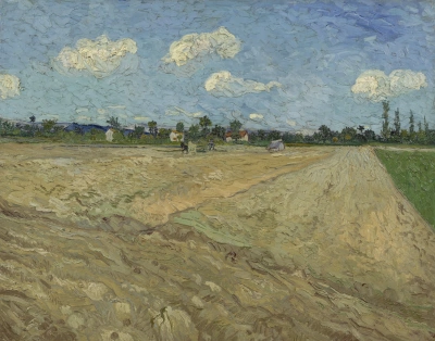 Campos arados