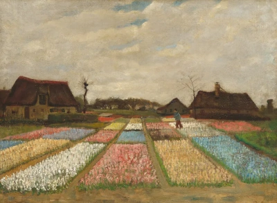 Campos de flores en Holanda