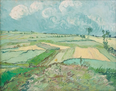 Campos de trigo después de la lluvia