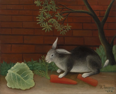 Comida de conejo