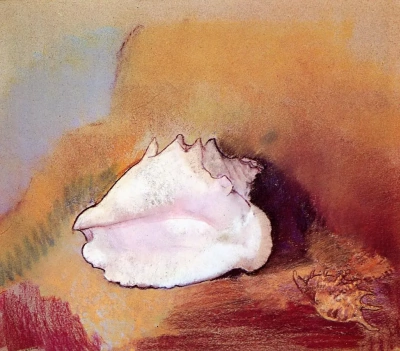 Concha de mar