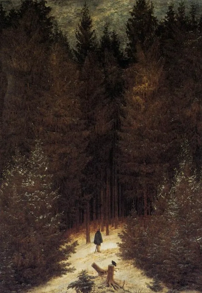 Coracero en el bosque
