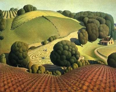 Corn Field