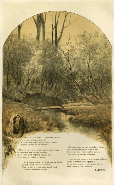 Corriente en el bosque.