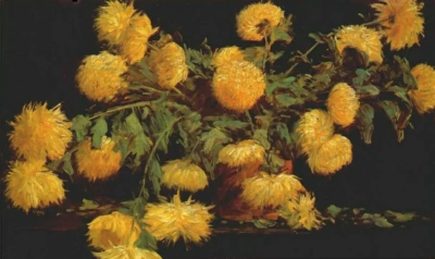 Crisantemo.