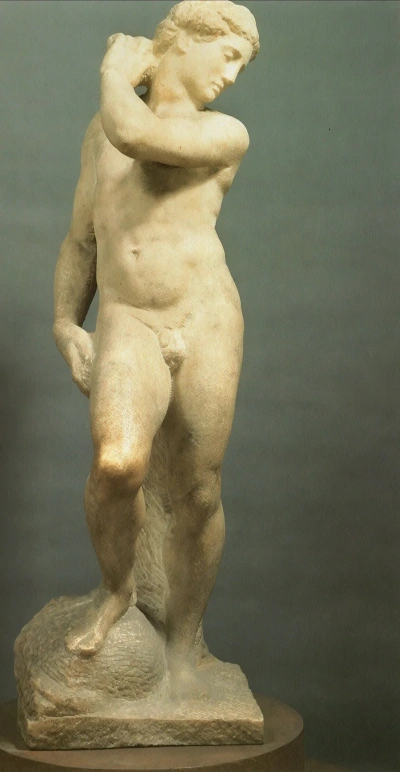 David-Apolo