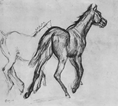 Dos caballos corriendo trote