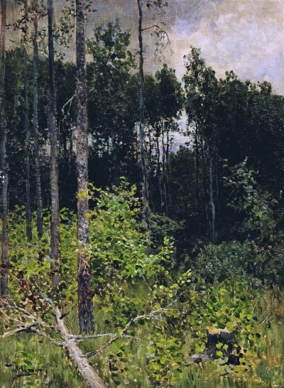 El bosque de álamos. Día gris.
