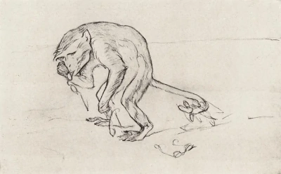 El búho y el gato