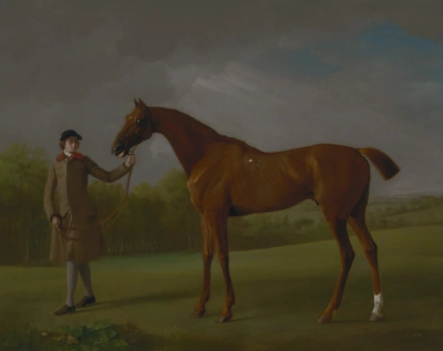 El caballo llamado Shine y su jockey.