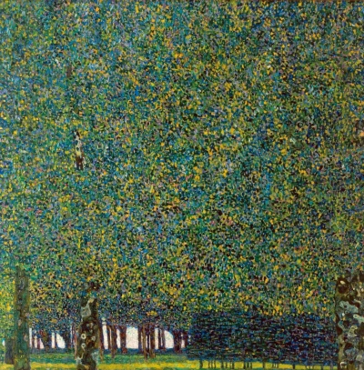 El parque