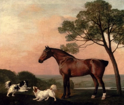 El semental y dos perros