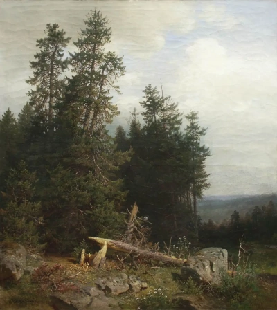 En el borde del bosque