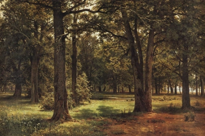 En el bosque de robles protegido de Pedro el Grande (en Sestroretsk)
