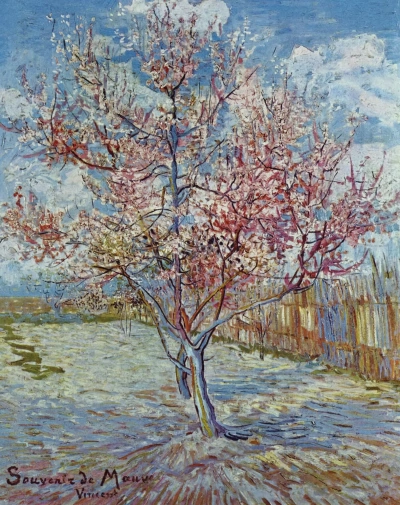 En memoria de la lilac