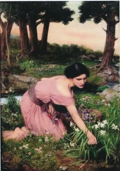 En un prado verde entre flores de primavera.