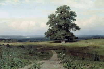 Entre los olivos