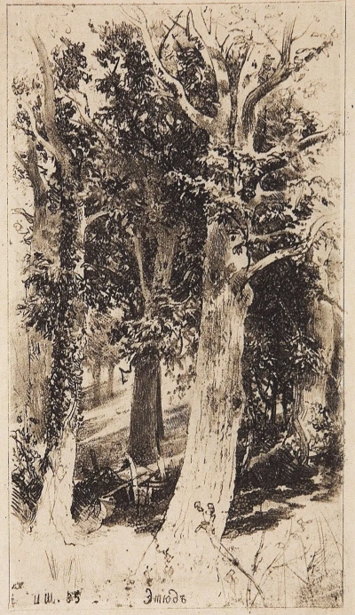 Etude.