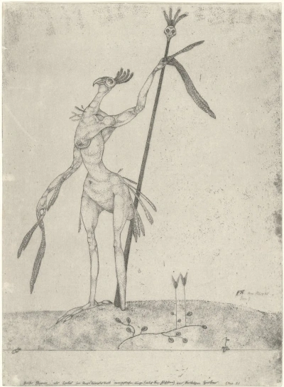 Fénix envejecido.
