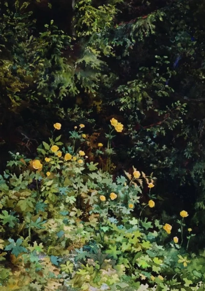 Flores amarillas