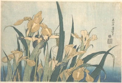 Flores y pájaros