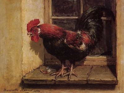 Gallo