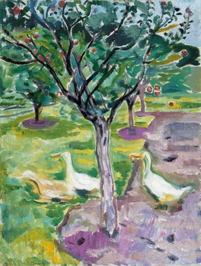 Gansos en el jardín