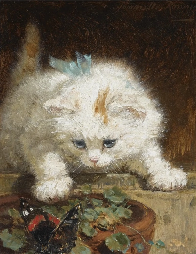 Gatito mirando una mariposa
