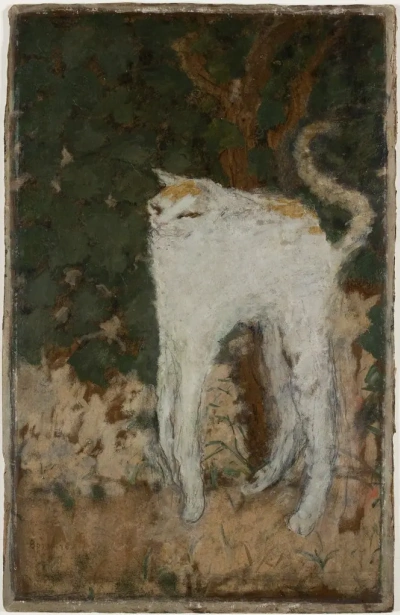 Gato blanco