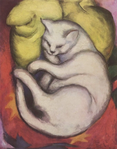 Gato sobre un cojín amarillo.