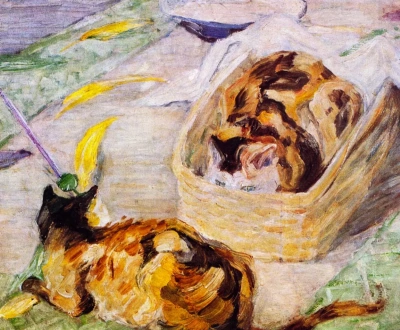 Gatos