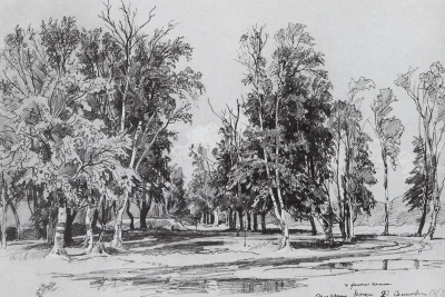 Grove St.