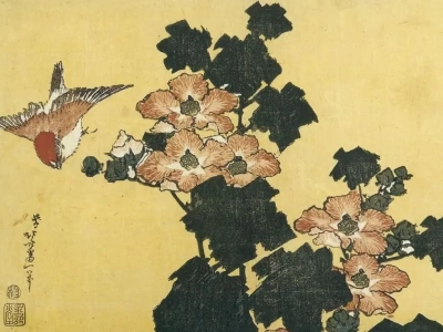 Hibiscus y gorrión