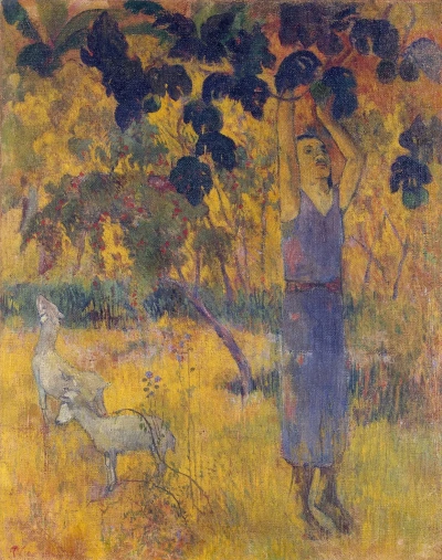 Hombre recogiendo frutas del árbol.