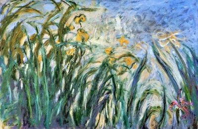Iris amarillo y malva
