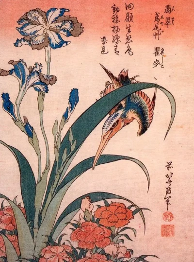 Irises y aves de corral