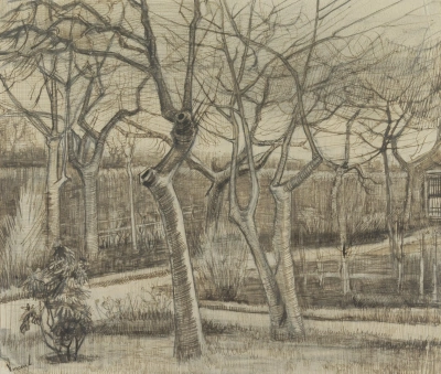 Jardín del vicario
