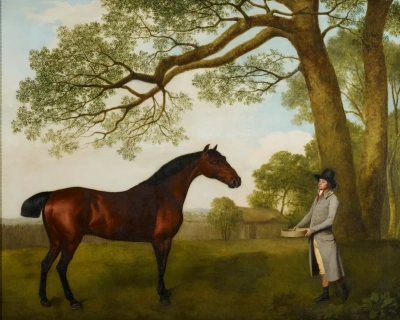 John Gascoigne