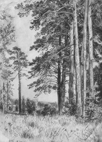 La burla