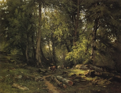 La manada en el bosque
