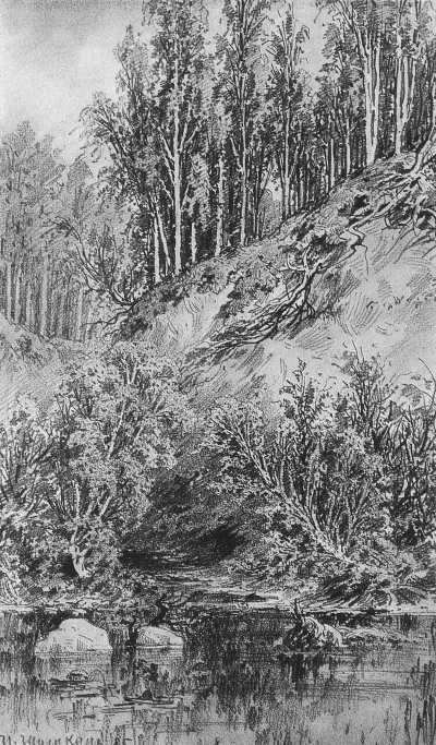 Lado del arroyo