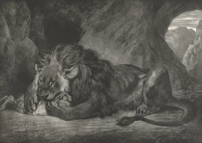 León en las montañas del Atlas