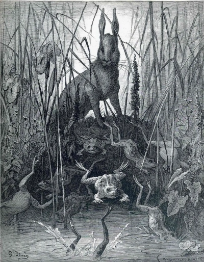 Liebre y ranas