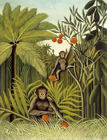 Los monos en la jungla.