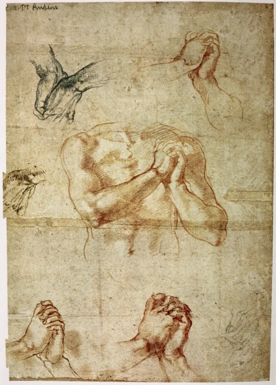 Male Torso with Clasped Hands and Sketches of Hands.